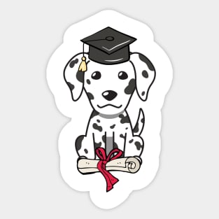 Funny dalmatian is graduating Sticker